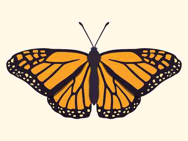 新手指南《新91视频》舆情监控快报