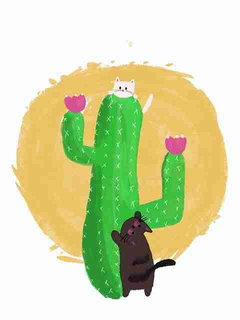 投屏秘籍！蘑菇视频电脑版爆点速览内行视角