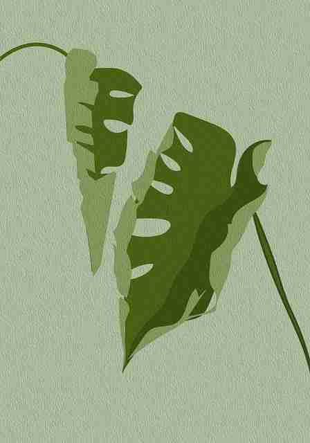 蘑菇视频ios社群运营：隐私争议案例复盘