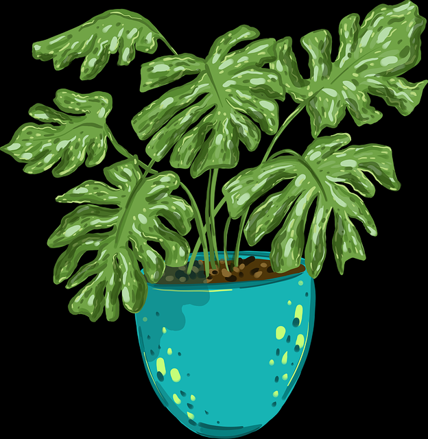 社群运营!久久网行业洞察快报